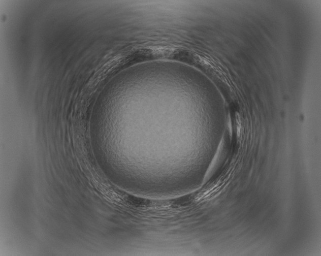 X0000062831249200601131249