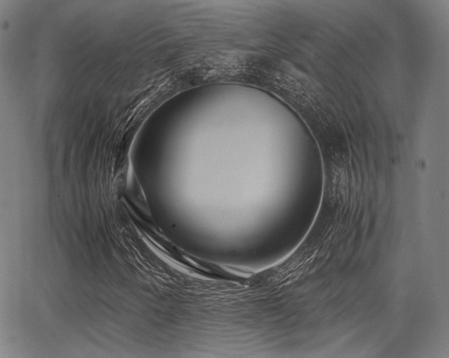 X0000062831250200601131249
