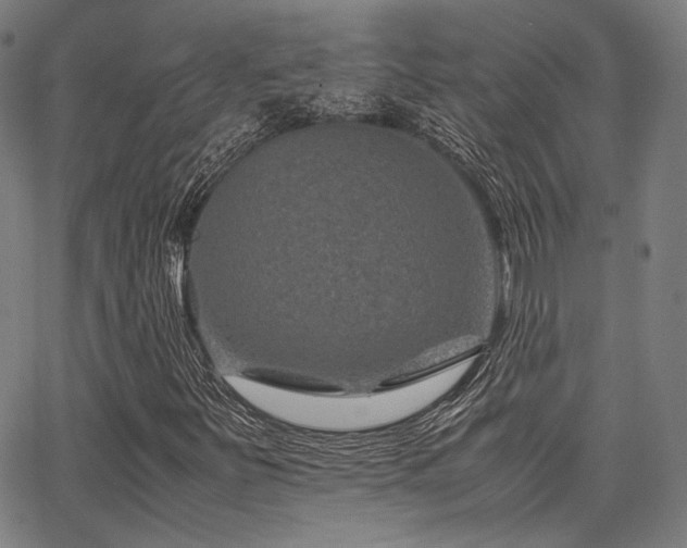 X0000062831251200601131249