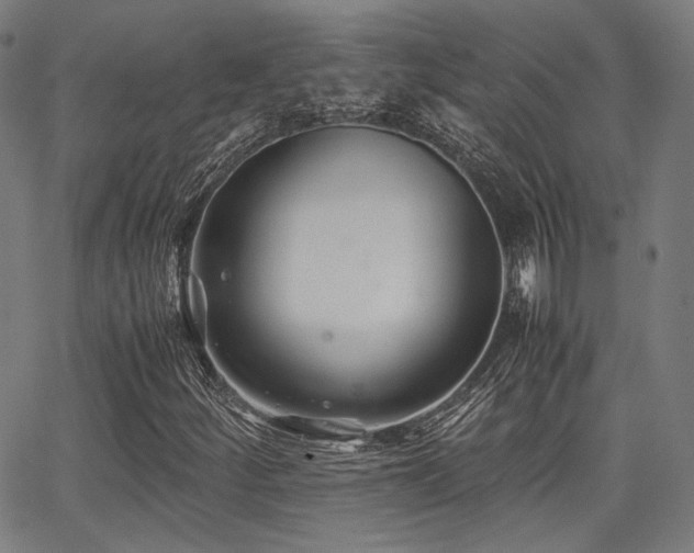 X0000062831252200601131249