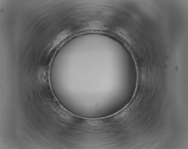 X0000062831258200601131249