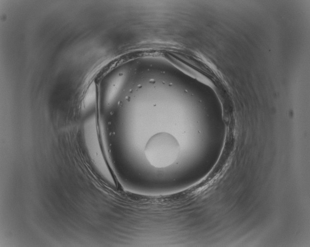 X0000062831259200601131249