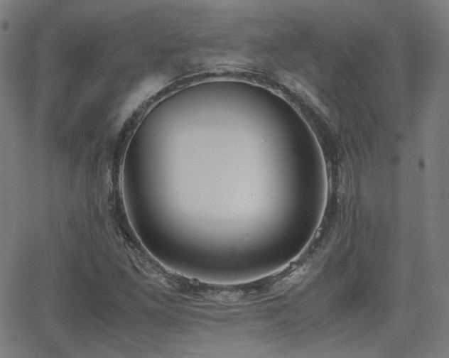 X0000062831261200601131249