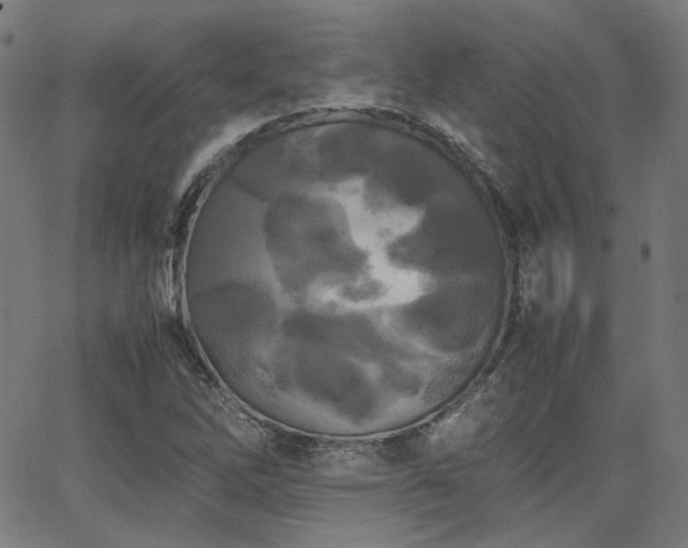 X0000062831262200601131249