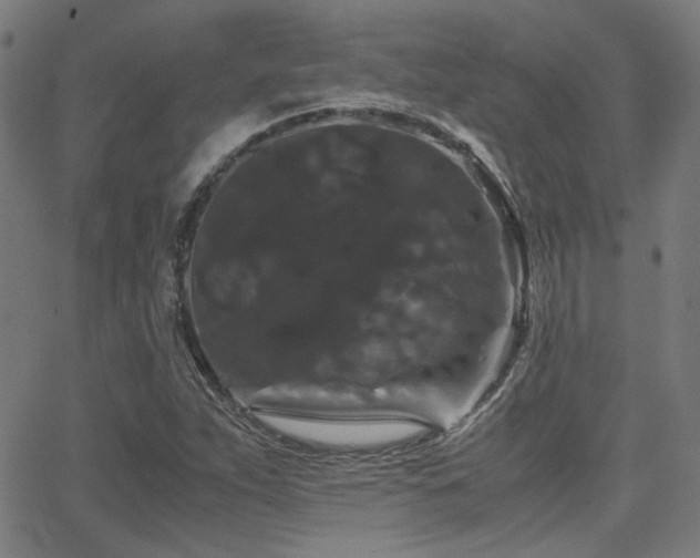 X0000062831263200601131249
