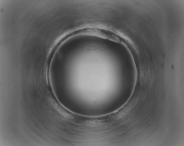 X0000062831272200601131248