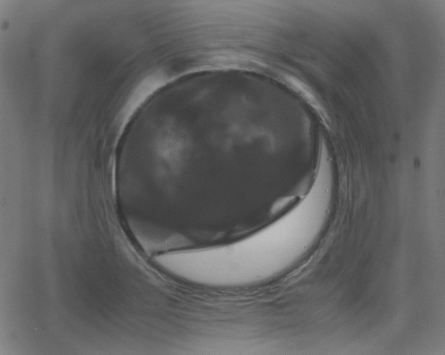 X0000062831275200601131248