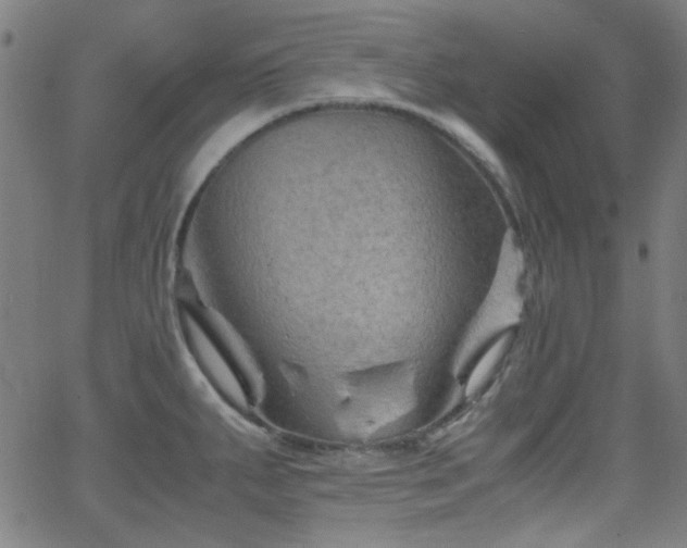 X0000062831287200601131248