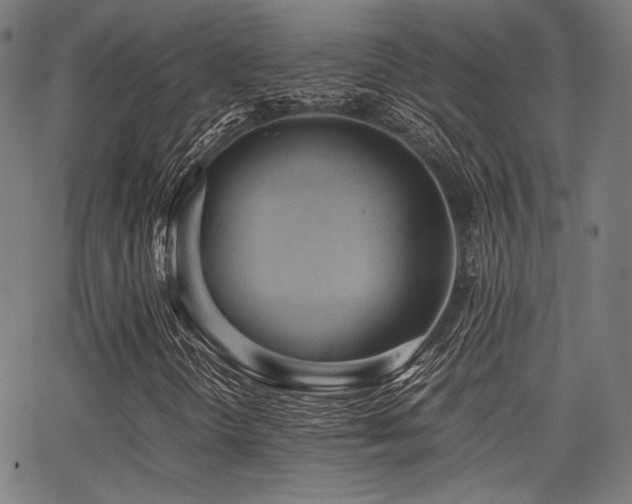 X0000062831298200601131247