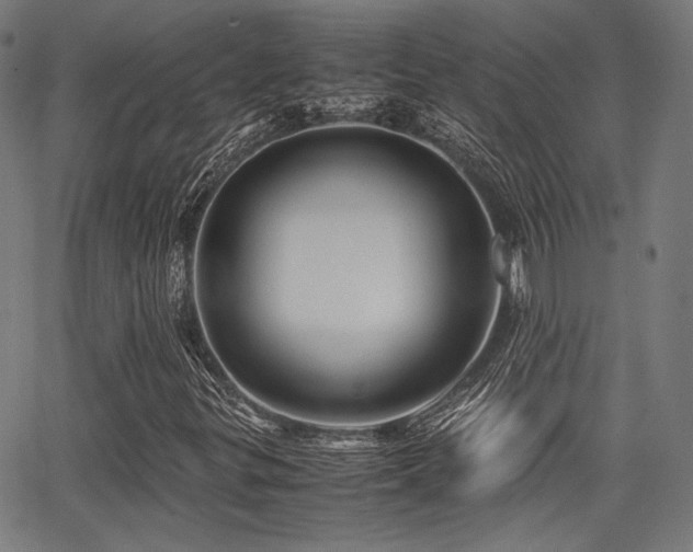 X0000062831299200601131247