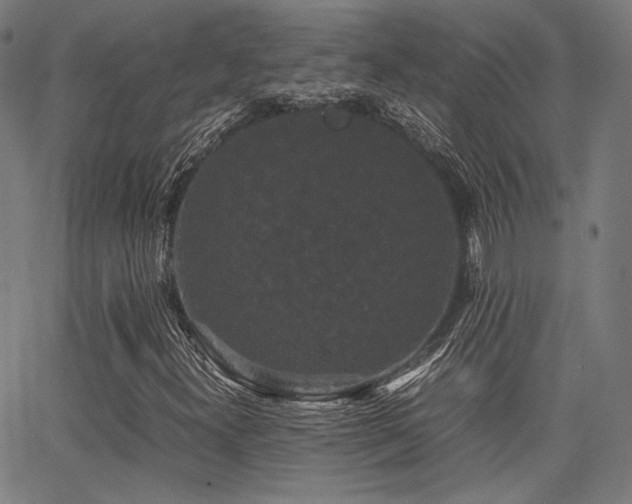 X0000062831300200601131247