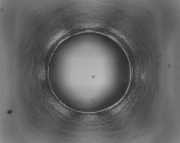 X0000062831306200601131247
