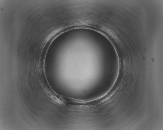 X0000062831308200601131247