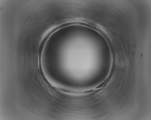 X0000062831320200601131248