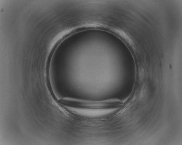 X0000062831327200601131248