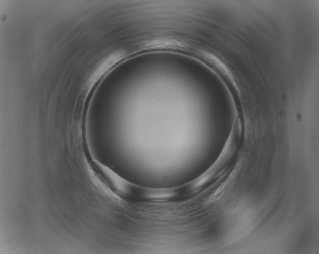 X0000062831330200601131248