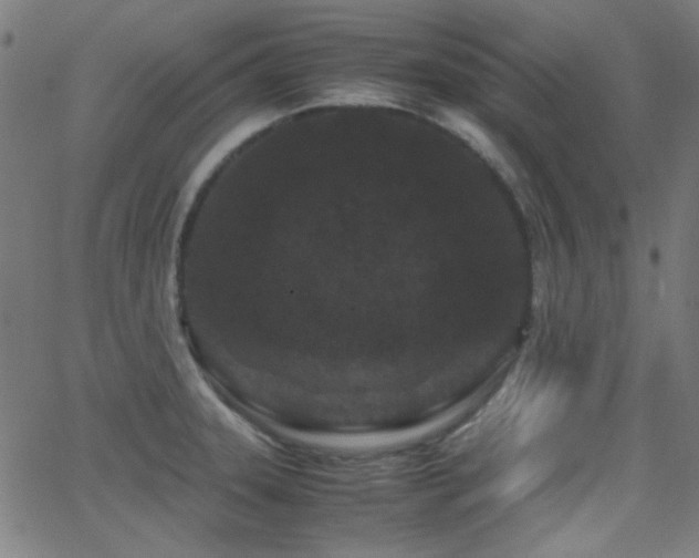 X0000062831331200601131248