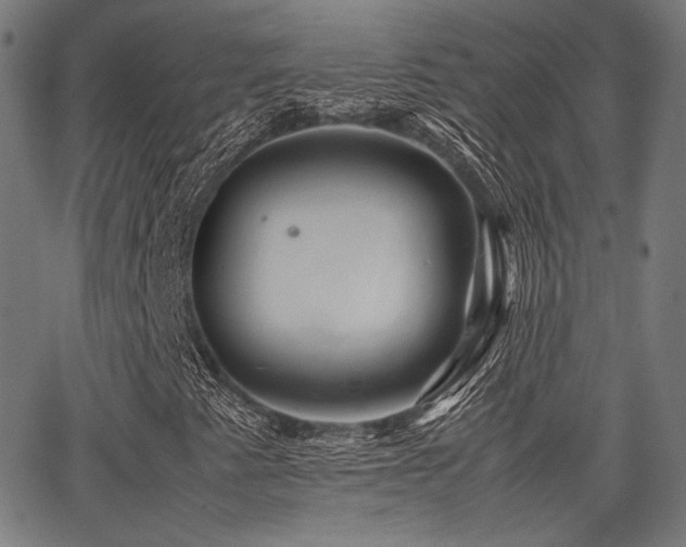 X0000062831345200601131247