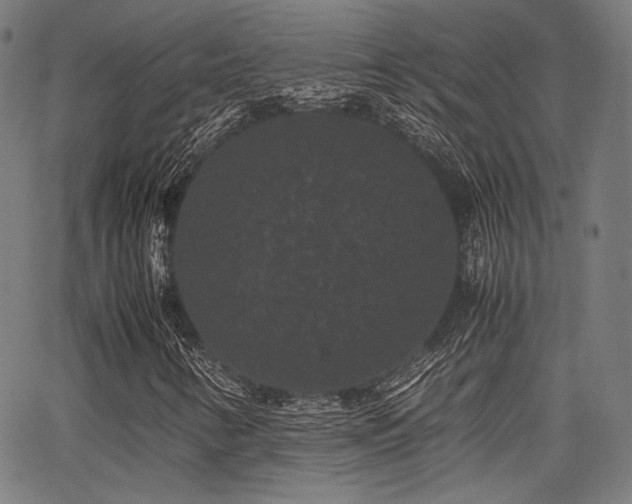 X0000062831346200601131247