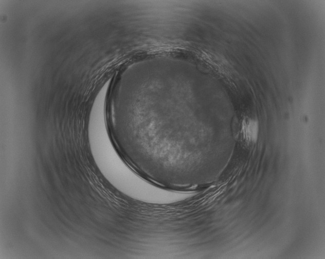 X0000062831348200601131247