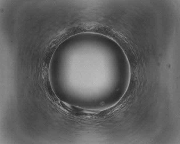 X0000062831349200601131247