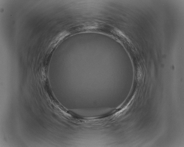 X0000062831353200601131247