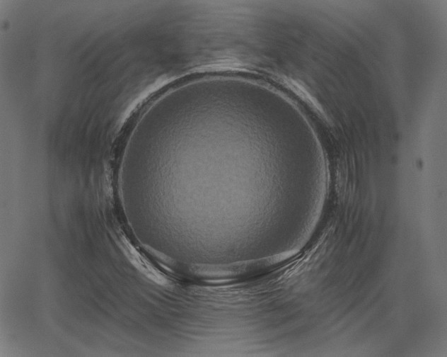 X0000062831356200601131247