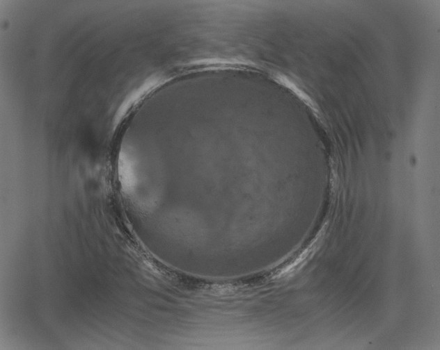 X0000062831357200601131247
