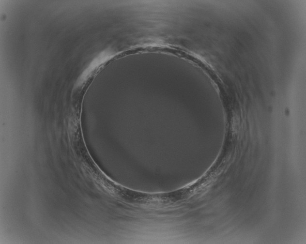 X0000062831359200601131247