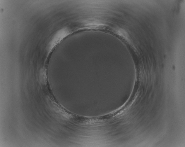 X0000062831362200601131247