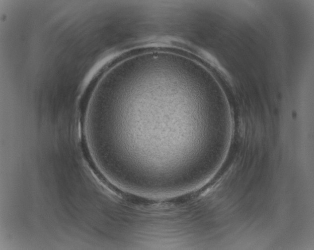 X0000062831368200601131247
