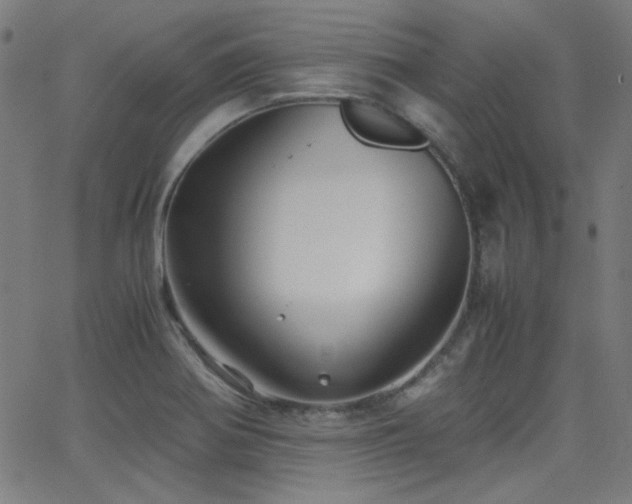 X0000062831370200601131247