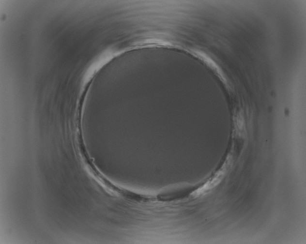 X0000062831373200601131247