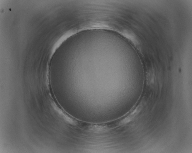 X0000062831374200601131247
