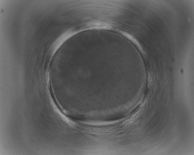 X0000062831383200601131247