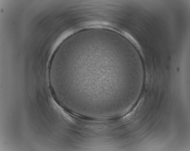X0000062831384200601131247