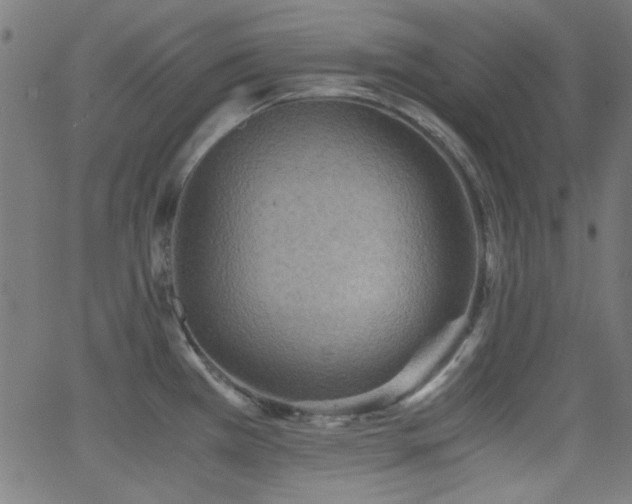 X0000062831385200601131247