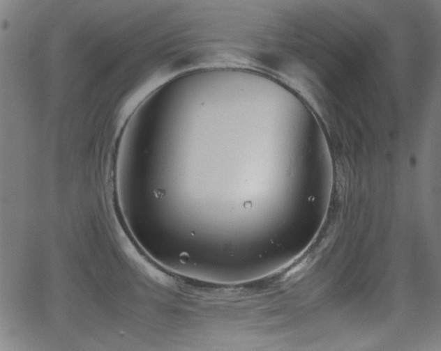 X0000062831387200601131247