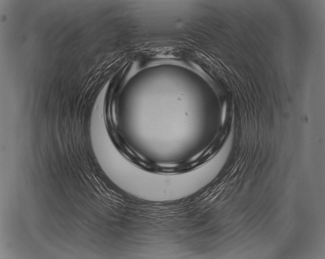 X0000062831394200601131246