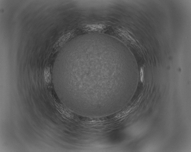 X0000062831395200601131246