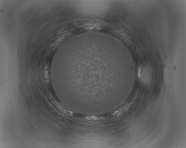 X0000062831396200601131246