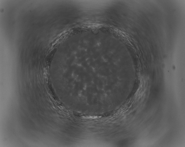 X0000062831397200601131246