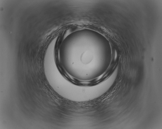 X0000062831398200601131246