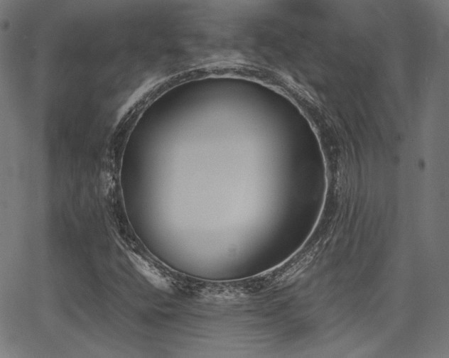 X0000062831400200601131246