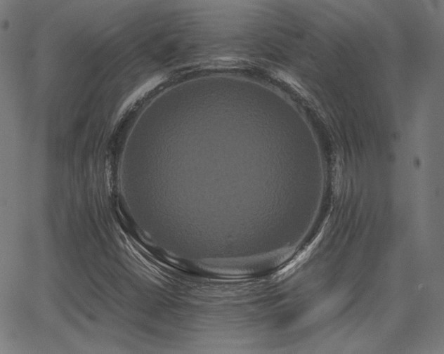 X0000062831402200601131246