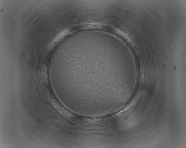 X0000062831403200601131246