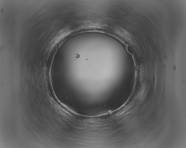 X0000062831404200601131246