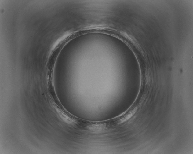 X0000062831406200601131246
