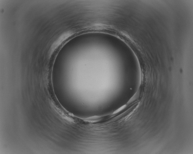 X0000062831410200601131246