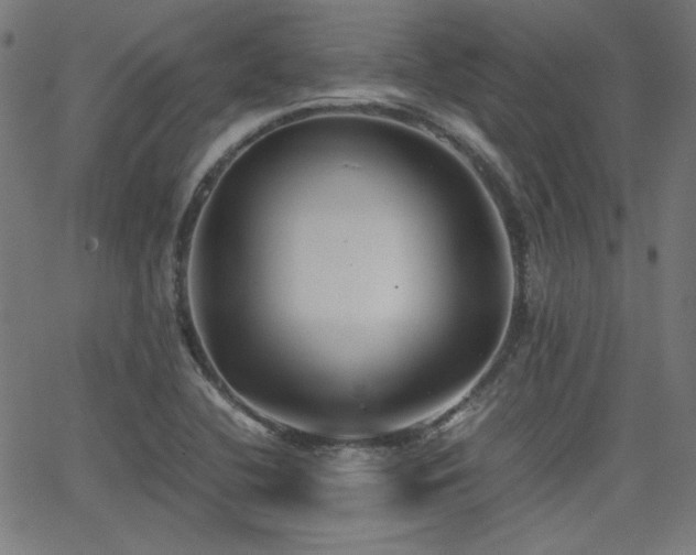 X0000062831412200601131246
